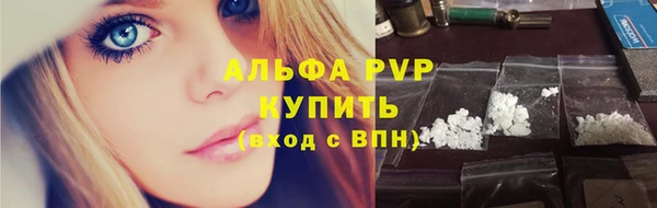прущие крисы Карпинск