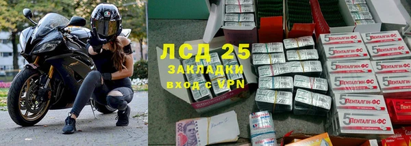 прущие крисы Карпинск